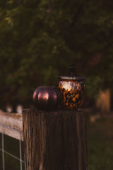Midnight Mercury Pumpkin Candle